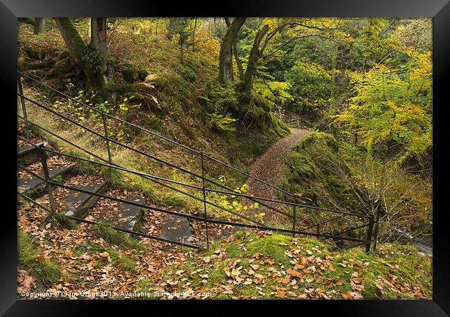 Steps at Aira Force. Near Ullswater, Lake District Framed Print by Liam Grant