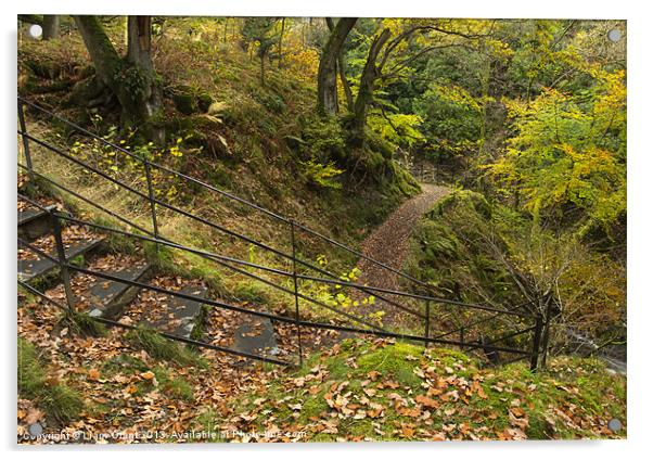 Steps at Aira Force. Near Ullswater, Lake District Acrylic by Liam Grant