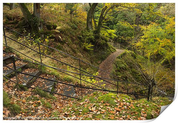 Steps at Aira Force. Near Ullswater, Lake District Print by Liam Grant