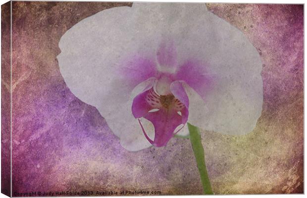 Purple Haze Canvas Print by Judy Hall-Folde