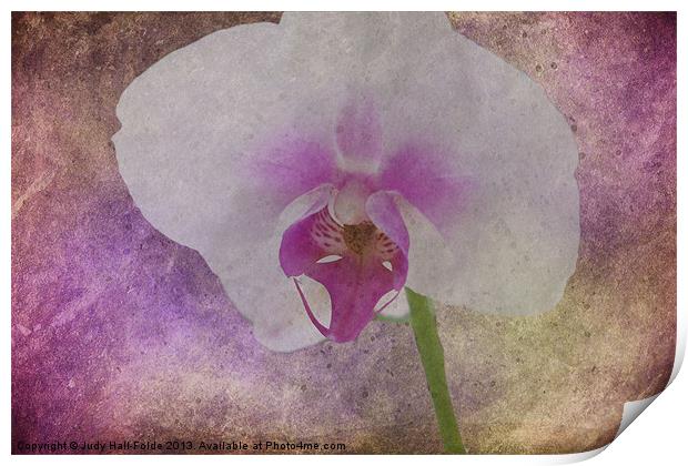 Purple Haze Print by Judy Hall-Folde