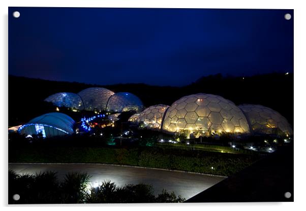 eden project Acrylic by Kelvin Rumsby