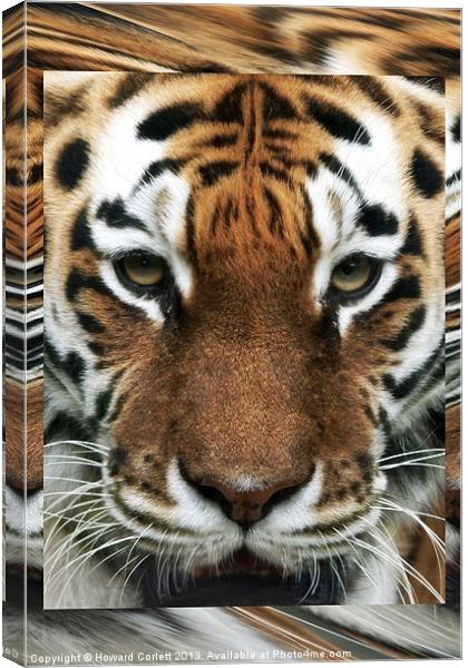 Tiger Abstract Canvas Print by Howard Corlett