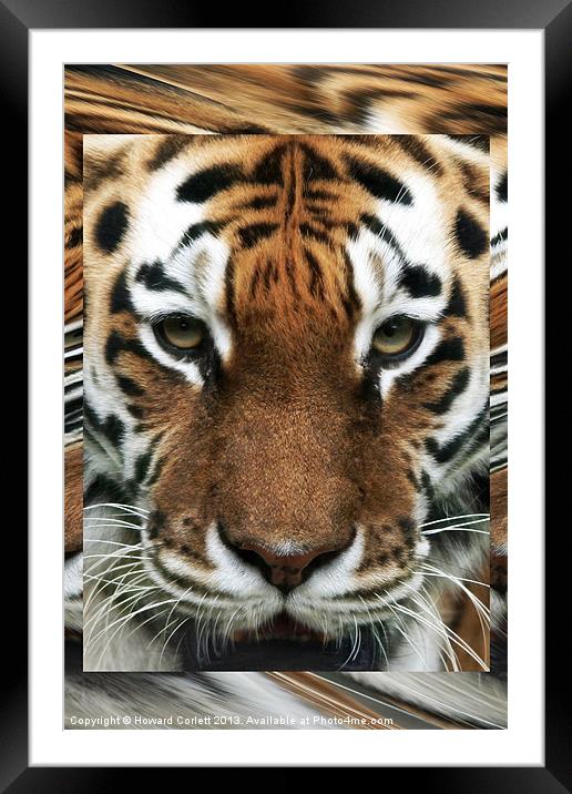 Tiger Abstract Framed Mounted Print by Howard Corlett