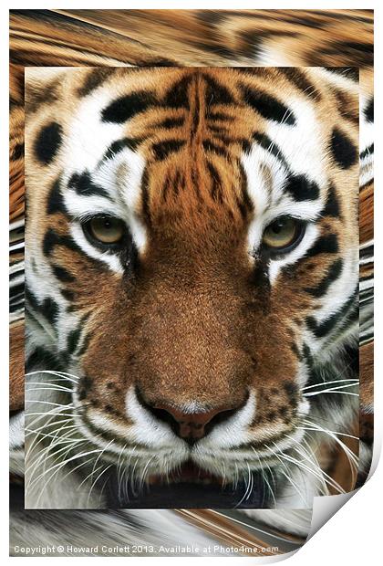 Tiger Abstract Print by Howard Corlett