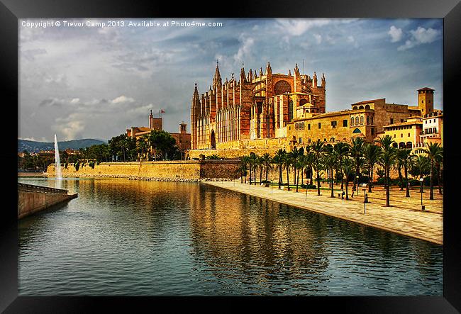 Palma Cathedral Framed Print by Trevor Camp