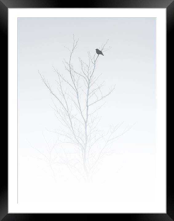 solitary songbird Framed Mounted Print by Heather Newton