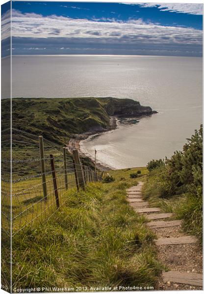 Down to the cove Canvas Print by Phil Wareham