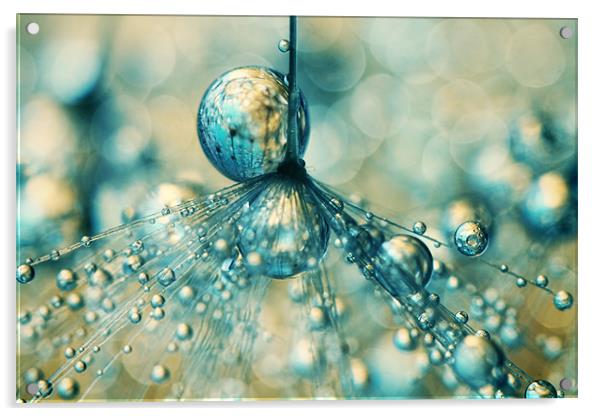 Dandy Sprinkles Acrylic by Sharon Johnstone