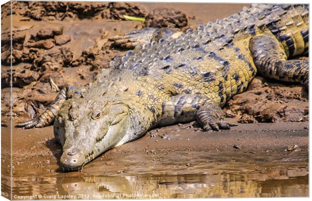 wild crocodile on the riverbank Canvas Print by Craig Lapsley