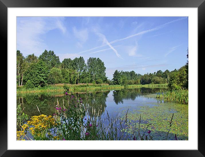 Morning at Drinkwater Country Park Framed Mounted Print by philip clarke