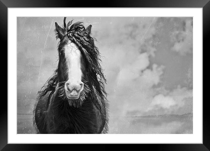 Wild Thing Framed Mounted Print by Dawn Cox