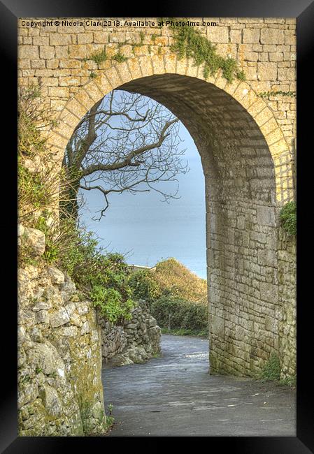 Pathway To The Sea Framed Print by Nicola Clark