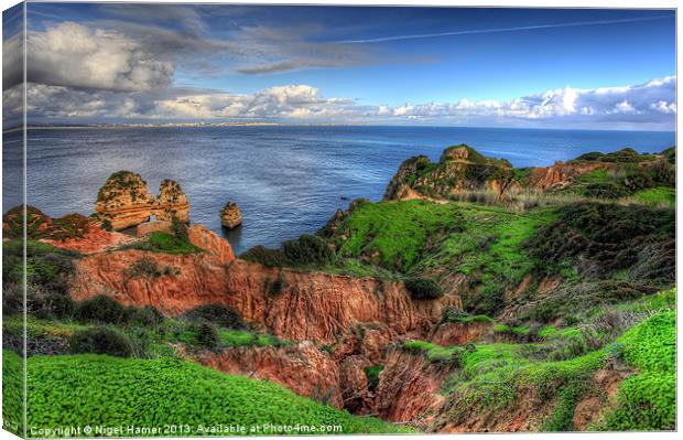 Clifftop Ravine Lagos Canvas Print by Wight Landscapes