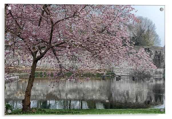 tree blossom Acrylic by Jo Beerens