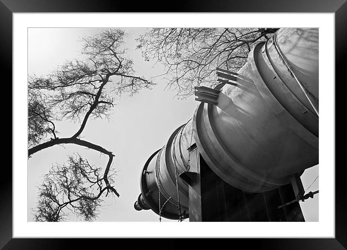 Stuck between a tree and a tree Framed Mounted Print by Arfabita  