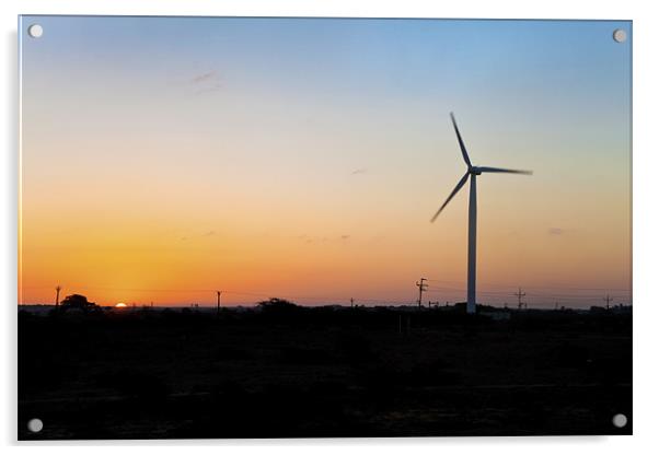 Another new day for windmill on Dwarka Plains Acrylic by Arfabita  