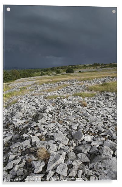 Approaching storm. Township Allotment, Lyth Valley Acrylic by Liam Grant