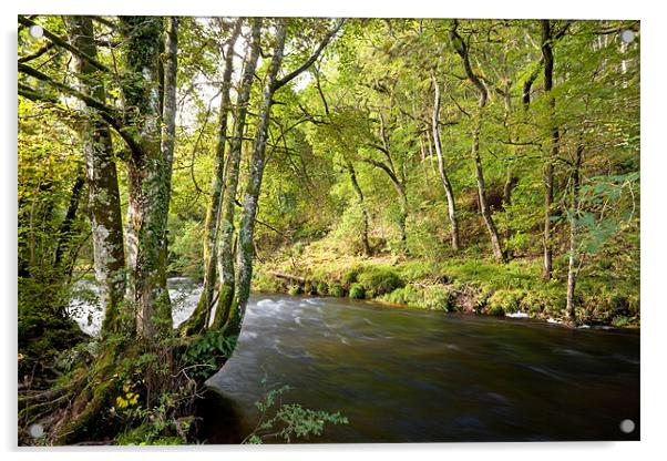 River Teign Dartmoor Acrylic by Jonathan Neale