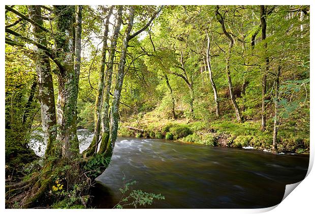 River Teign Dartmoor Print by Jonathan Neale