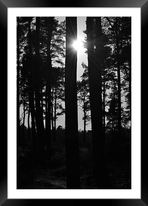 a glimpse of sunshine Framed Mounted Print by  