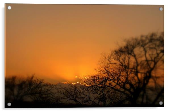 soft sunset Acrylic by dale rys (LP)
