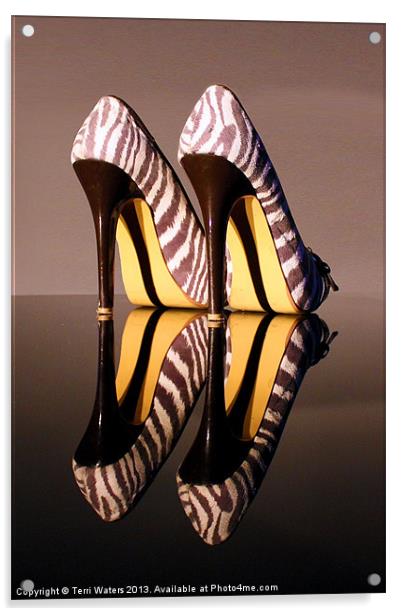 Zebra Print stiletto Shoes Acrylic by Terri Waters
