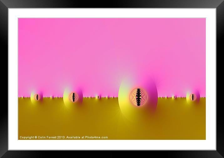 Fractal Farm in Pink and Gold Framed Mounted Print by Colin Forrest