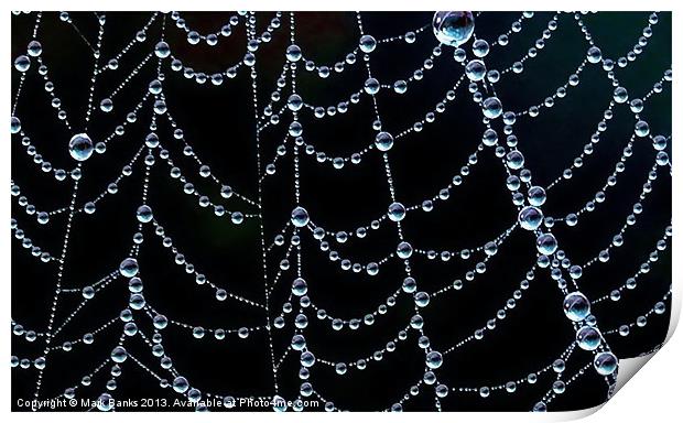 Natures Jewellery Print by Mark  F Banks