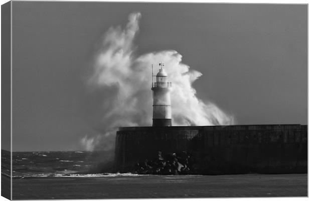 Newhaven Lighthouse Canvas Print by Phil Clements