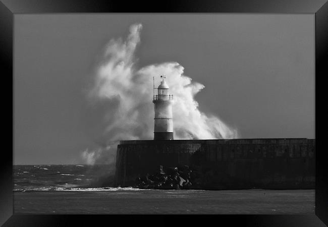 Newhaven Lighthouse Framed Print by Phil Clements