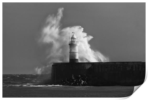Newhaven Lighthouse Print by Phil Clements