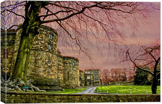 At the Castle Walls Canvas Print by Ade Robbins