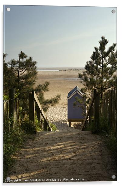Beach hut and path to beach. Wells-next-the-sea, N Acrylic by Liam Grant