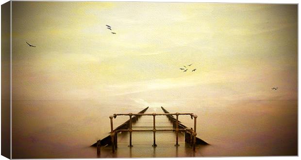 Sea of Dreams Canvas Print by Robert  Radford