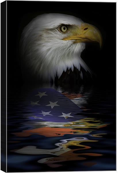 American Bald Eagle Canvas Print by Dean Messenger