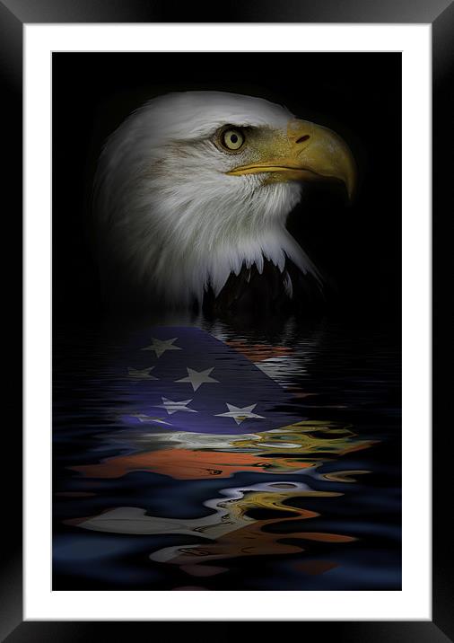 American Bald Eagle Framed Mounted Print by Dean Messenger