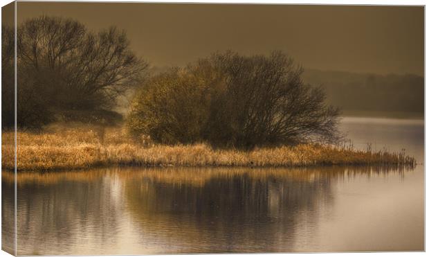 On Golden Pond Canvas Print by richard downes