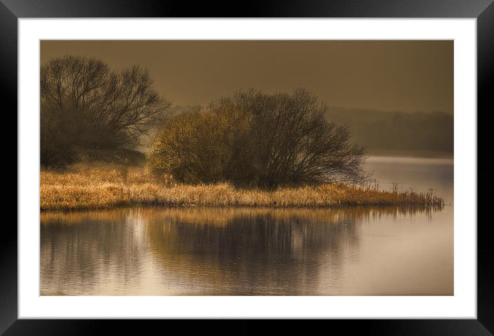 On Golden Pond Framed Mounted Print by richard downes