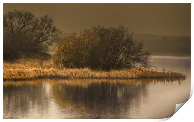 On Golden Pond Print by richard downes