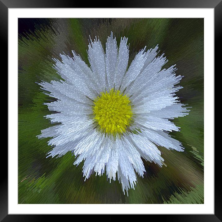 Abstract Daisy Framed Mounted Print by Bill Simpson