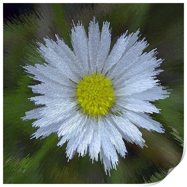 Abstract Daisy Print by Bill Simpson