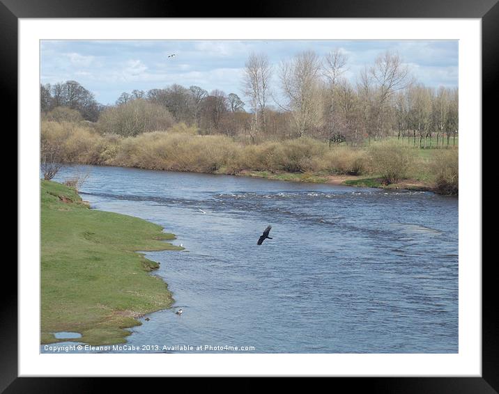 Looking over the River Eden Framed Mounted Print by Eleanor McCabe
