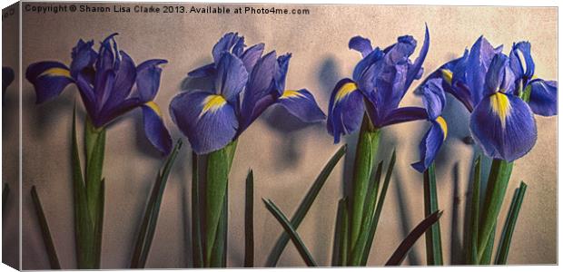 Vintage Irises Canvas Print by Sharon Lisa Clarke