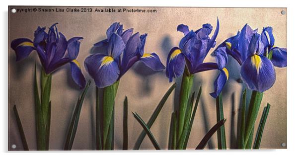 Vintage Irises Acrylic by Sharon Lisa Clarke