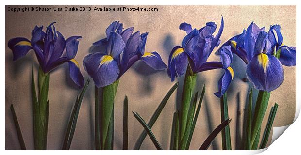 Vintage Irises Print by Sharon Lisa Clarke