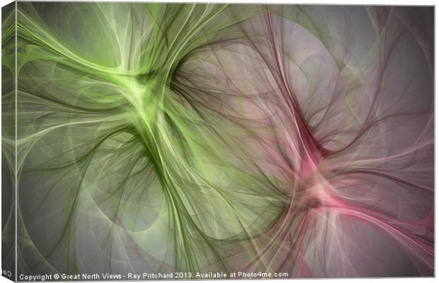 Fractal Flames Canvas Print by Ray Pritchard