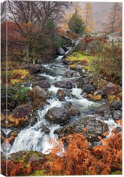 Colourful Far Easdale Ghyll Canvas Print by Ian Duffield