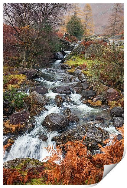 Colourful Far Easdale Ghyll Print by Ian Duffield