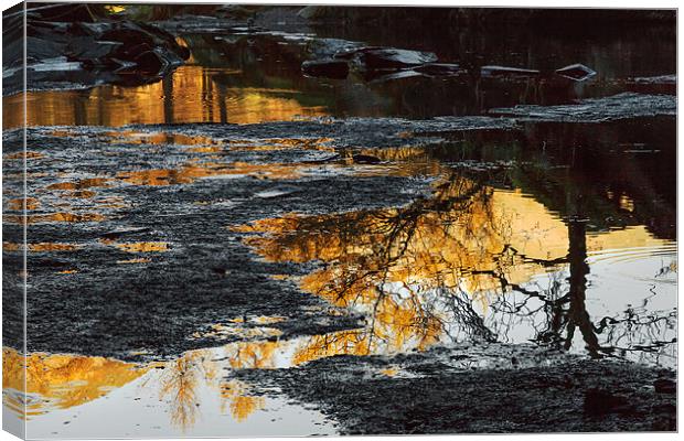Golden reflections in Rydal Cave. Canvas Print by Ian Duffield
